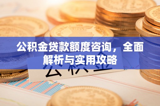 天津公积金贷款额度咨询，全面解析与实用攻略