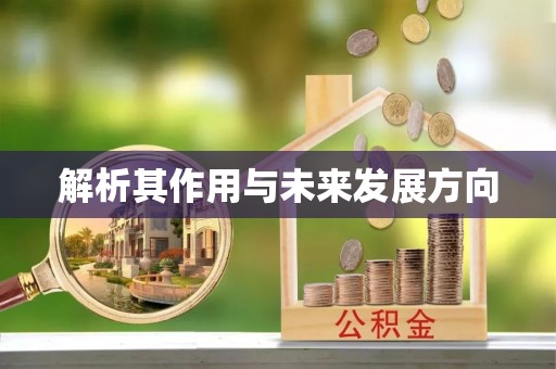 天津解析其作用与未来发展方向