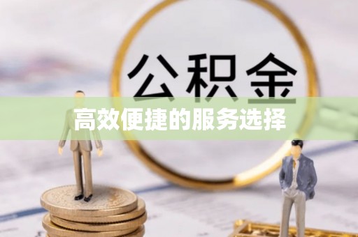 天津高效便捷的服务选择